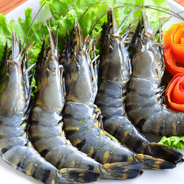 Vieba.com.vn Shrimp From Vietnam